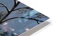 First Snow HD Metal print