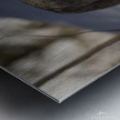 Stalking Metal print