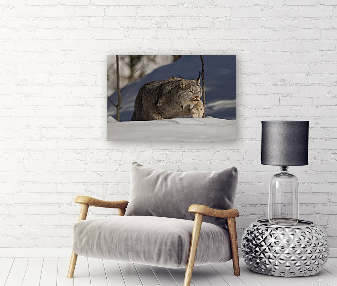 Stalking Reproduction