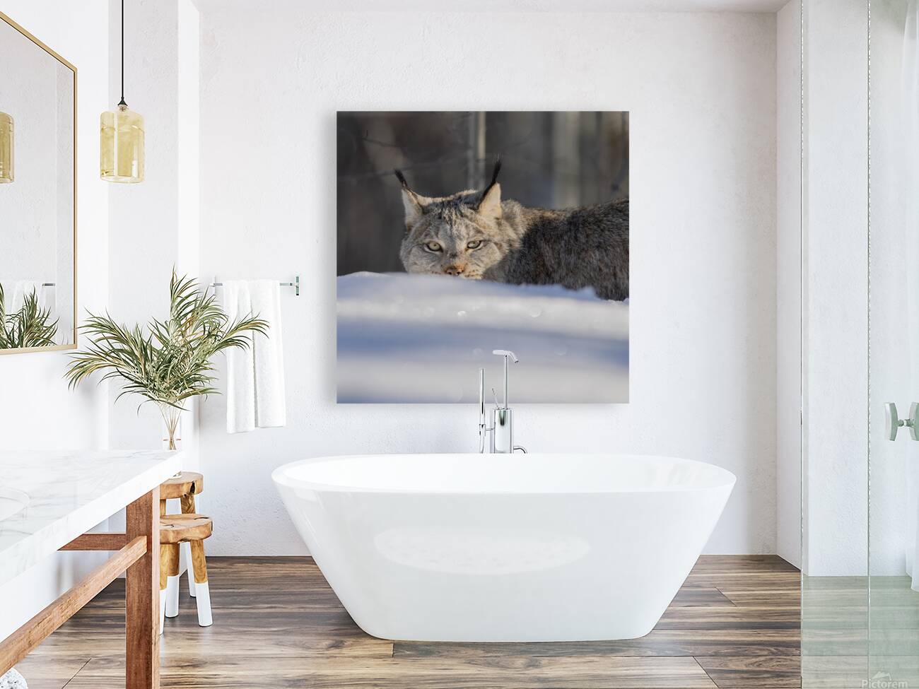 Glint In The Eye Reproduction