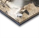 Following in Her Footsteps: Baby Mountain Goat and Mama Acrylic print