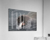 Graphic Sea Lion Hunts: Understanding Their Predatory Skills Acrylic Print