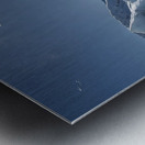 Pristine Widerness Metal print