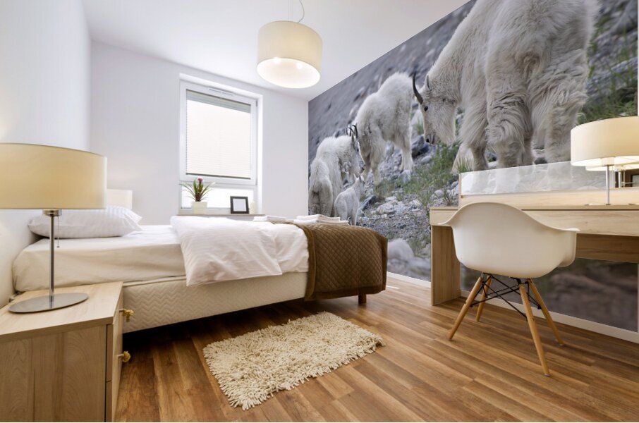 The Graceful Herd: White Mountain Goats in the Wild Mural print