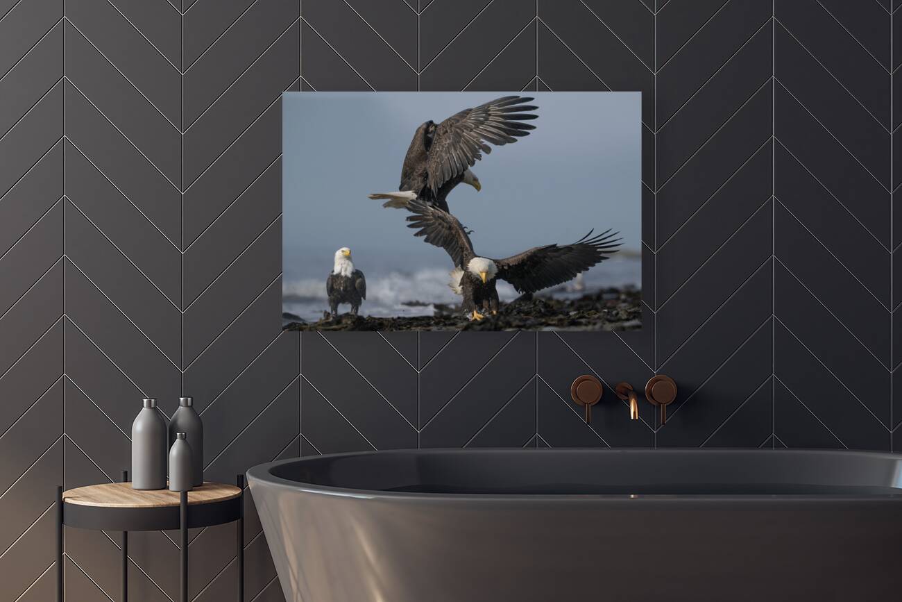 The Eagles Gathering Reproduction