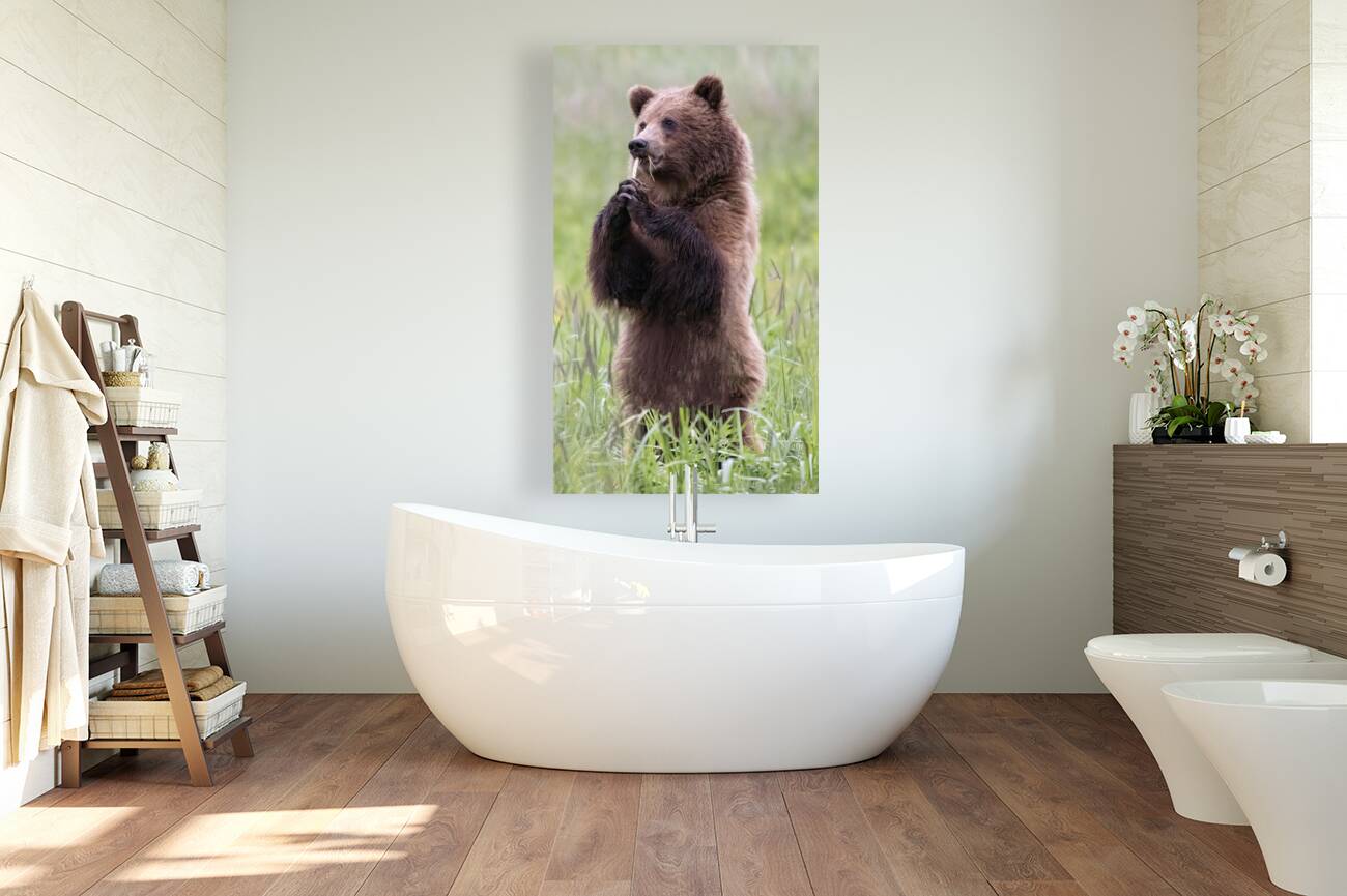 Regal Majesty: A Towering Bear Standing Tall in the Wilderness Reproduction