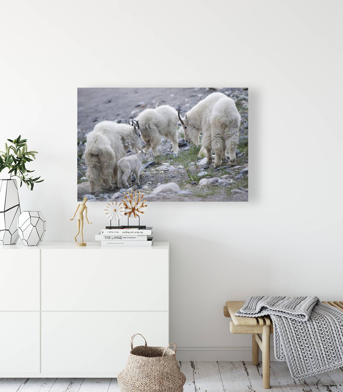 The Graceful Herd: White Mountain Goats in the Wild Reproduction