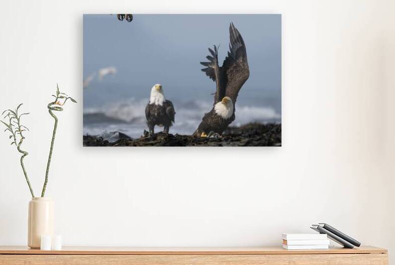 The Uninvited Guest: An Eagles Approach by Caio Paagman Photography