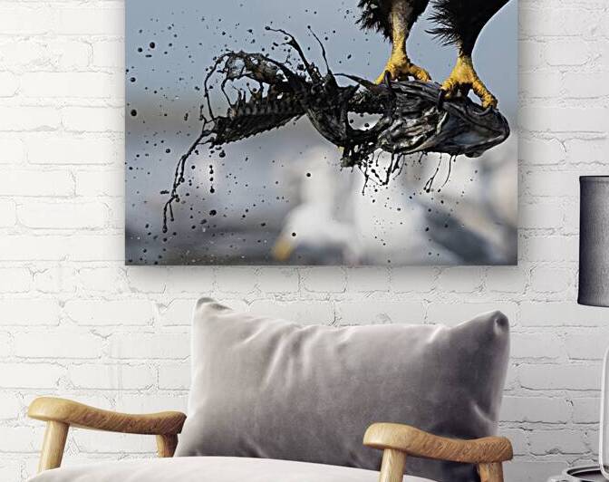 Claws of Conquest: The Eagles Spectacular Catch by Caio Paagman Photography