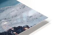 Natures Atelier HD Metal print