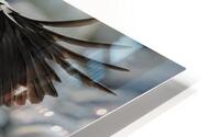 Beachside Feast: The Crows Salmon Delight HD Metal print