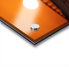 Pelican - Sunset Views Acrylic print