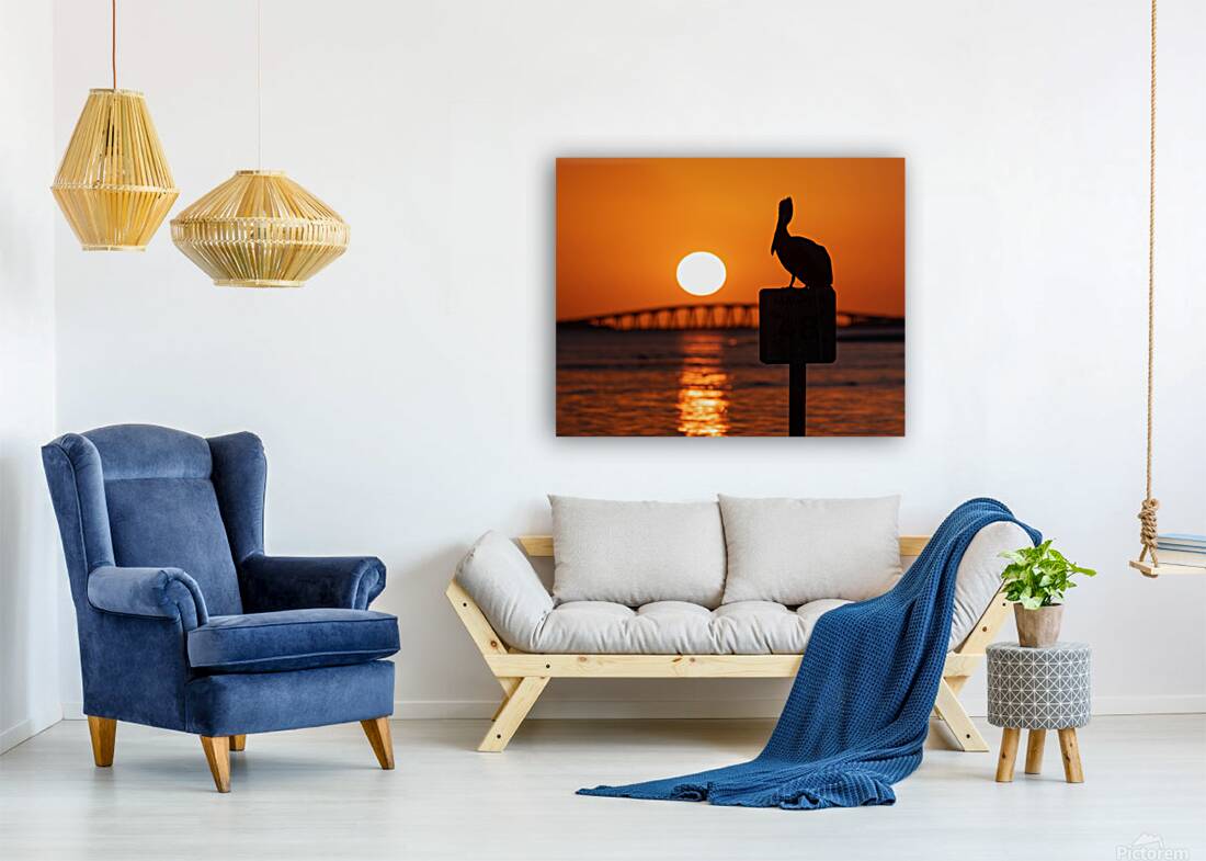 Pelican - Sunset Views Reproduction