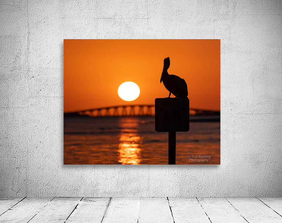 Pelican - Sunset Views Wall Preview