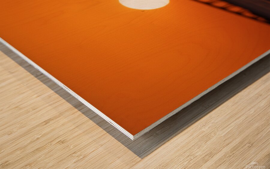 Pelican - Sunset Views Wood print