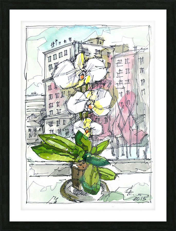 Flower on the window Picture Frame print