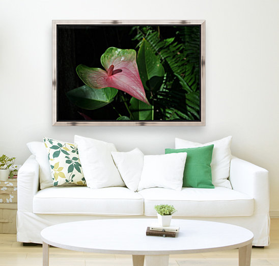 Plantation Flower Reproduction