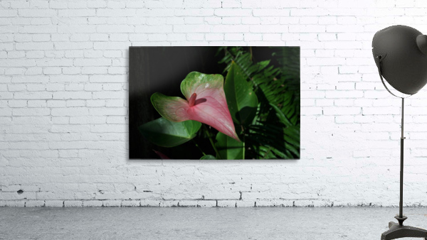 Plantation Flower Wall Preview