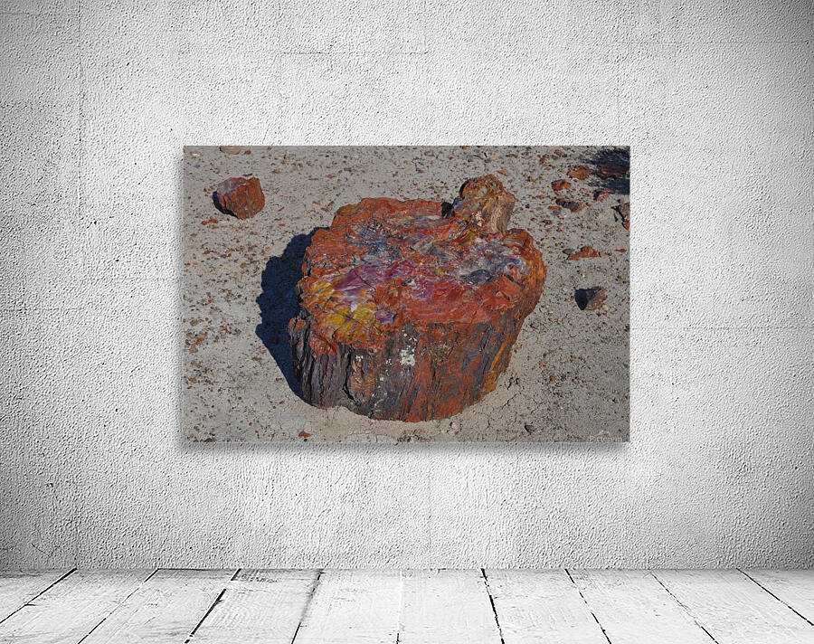 Petrified Wall Preview