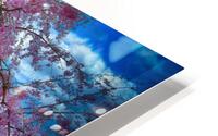 Sakura HDR 3853 HD Metal print