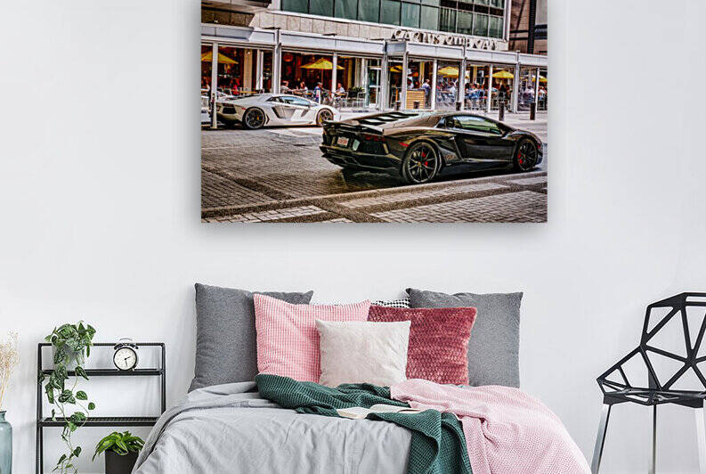 Ferrari and Lamborgini Reproduction