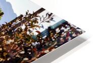 autumn orchard HD Metal print