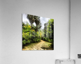 Paradise  Acrylic Print