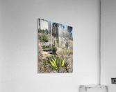 Cali Desert Acrylic Print