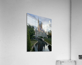 Disney World Acrylic Print