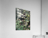 Nature Trails Acrylic Print