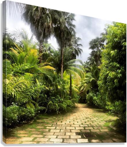 Paradise  Canvas Print