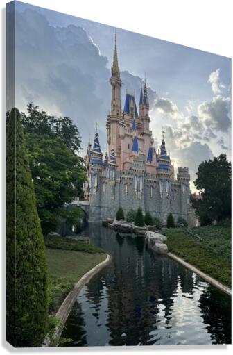 Disney World Canvas Print