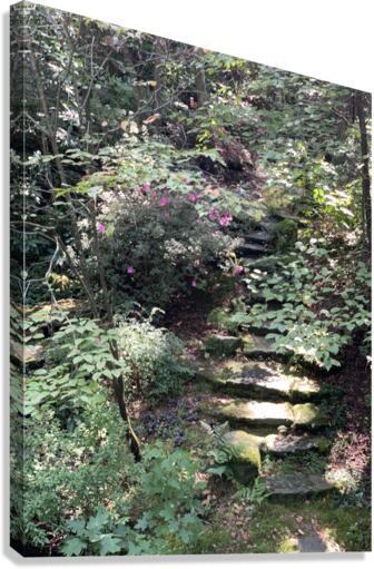 Nature Trails Canvas Print