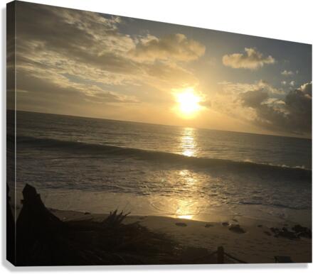 Sunset  Canvas Print