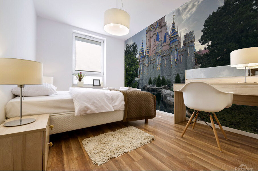Disney World Mural print