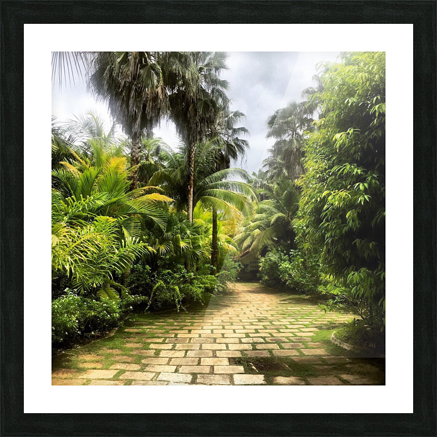 Paradise  Picture Frame print