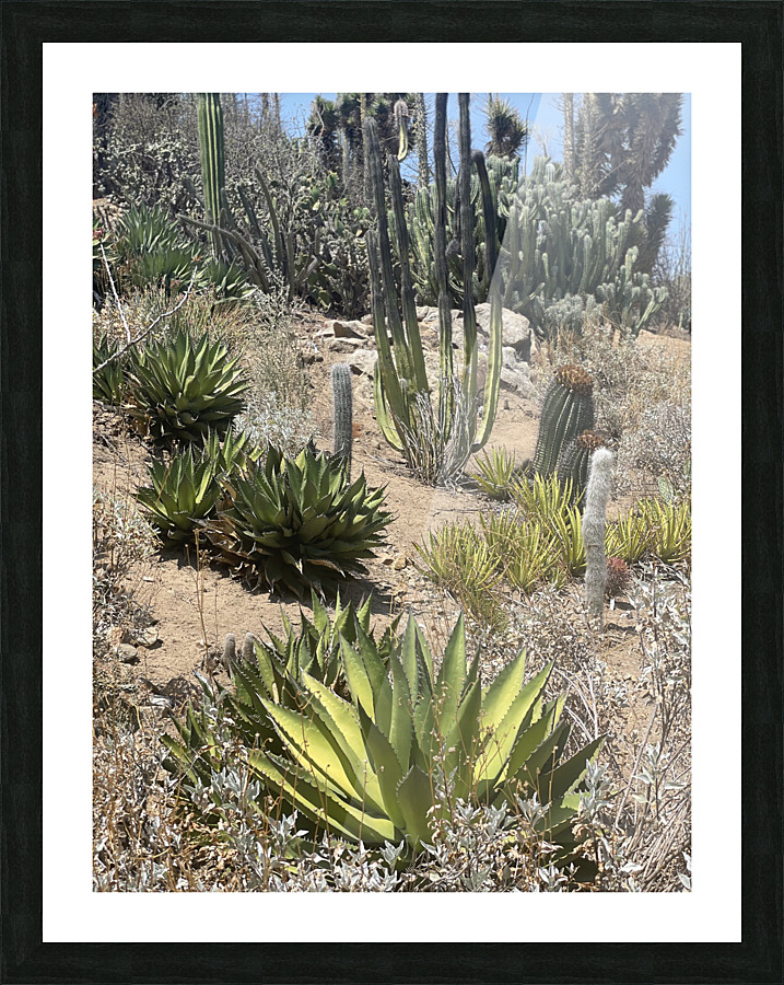 Cali Desert Picture Frame print