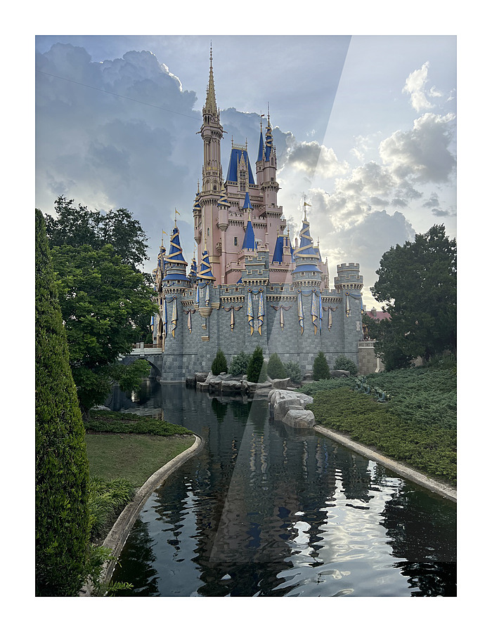 Disney World Picture Frame print