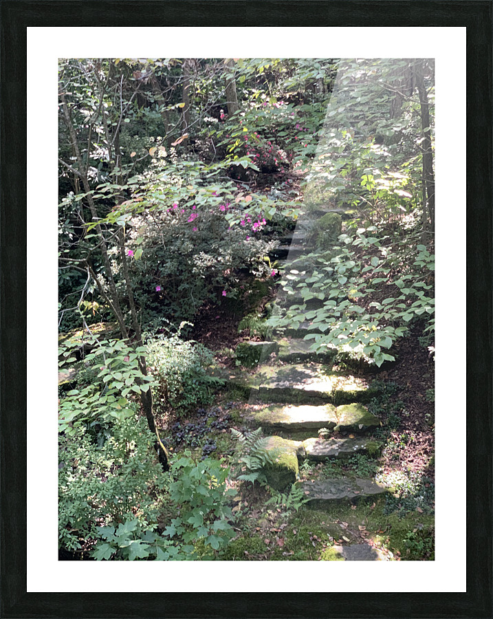 Nature Trails Picture Frame print