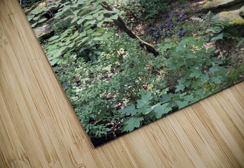 Nature Trails Brando puzzle