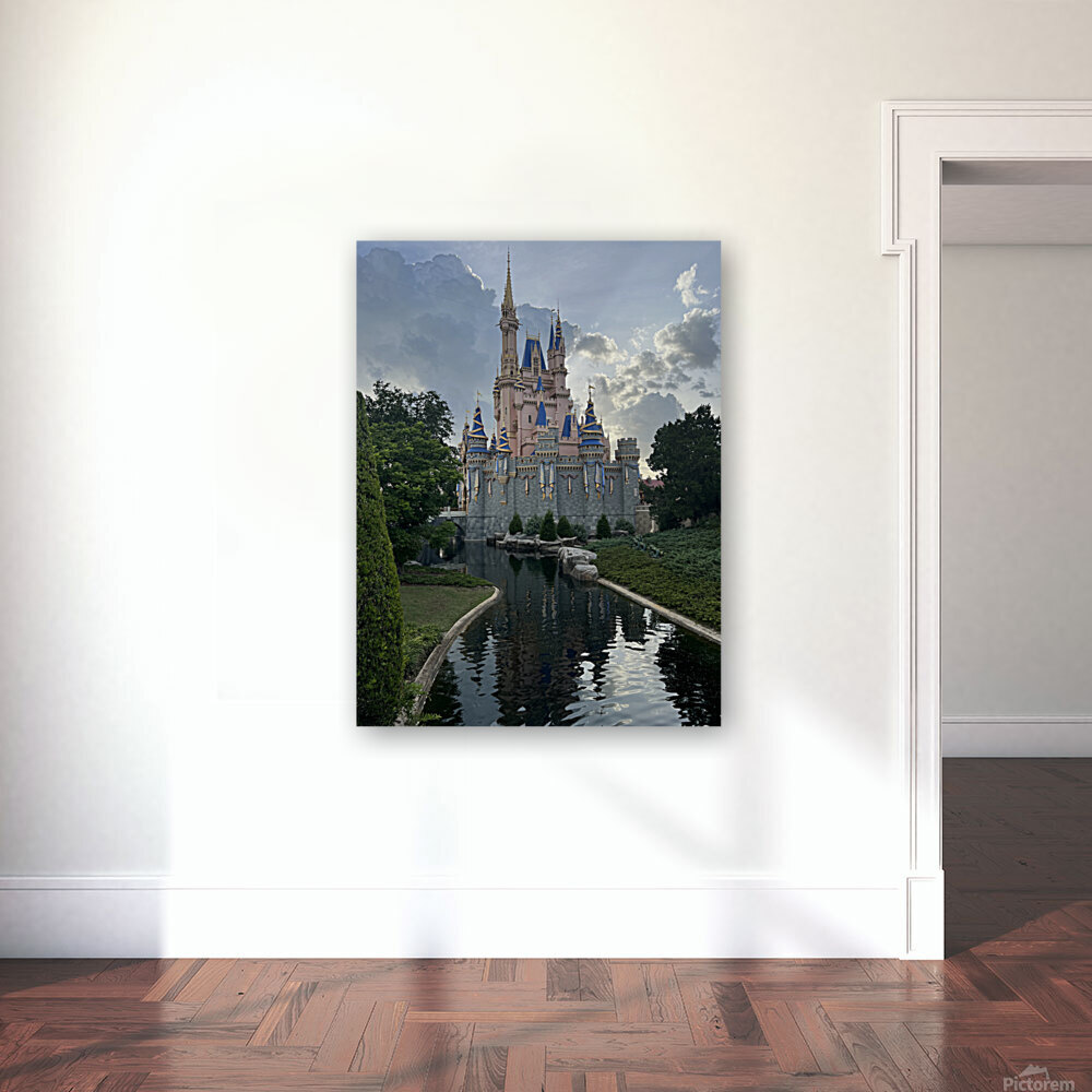 Disney World Reproduction