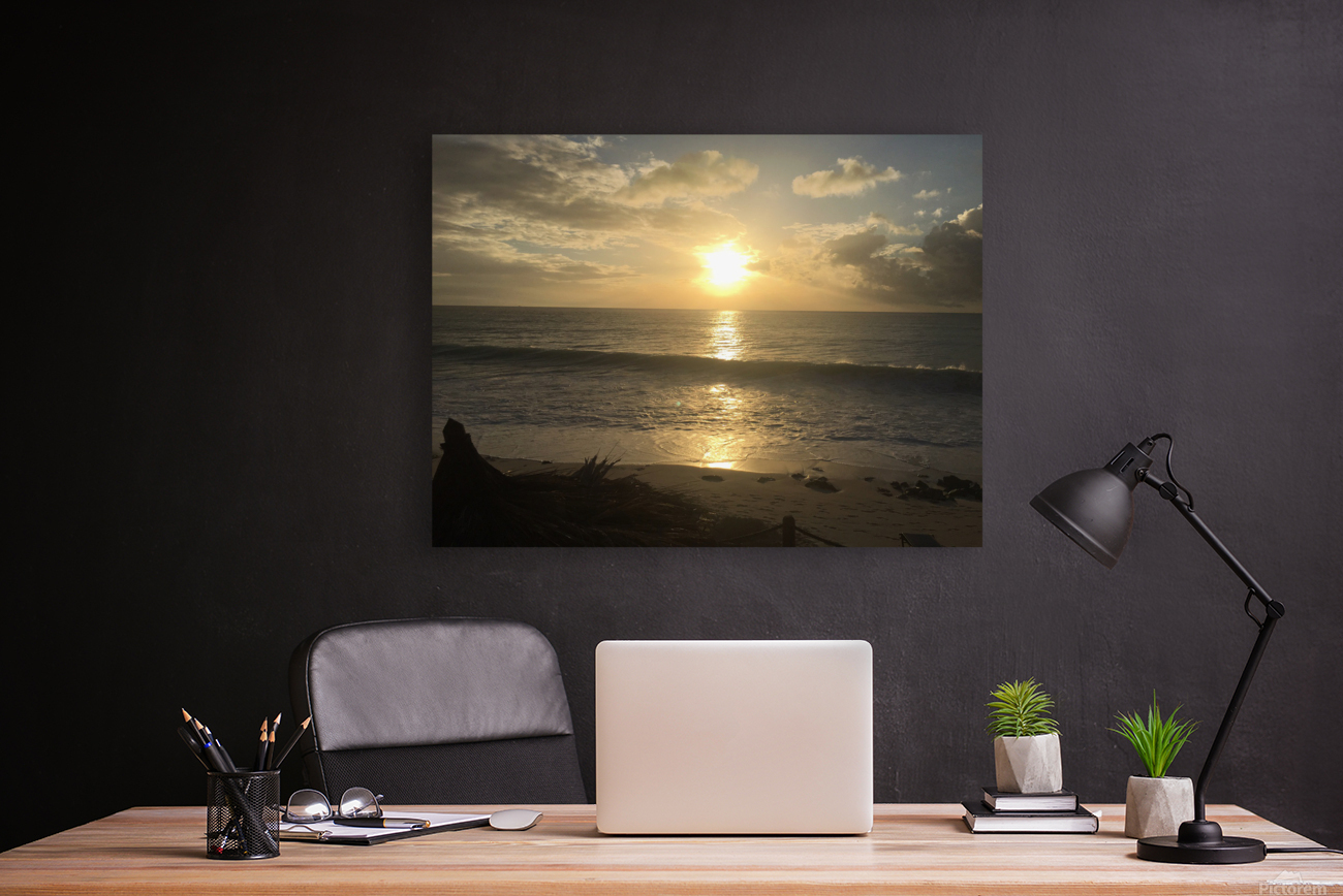 Sunset  Reproduction