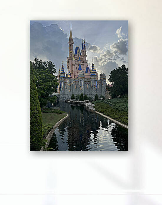 Disney World Reproduction