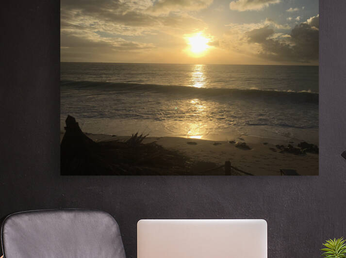 Sunset  Reproduction