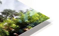 Paradise  HD Metal print