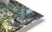 Nature Trails HD Metal print