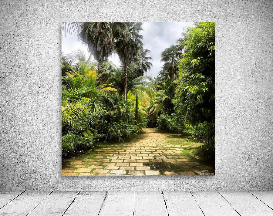 Paradise  Wall Preview