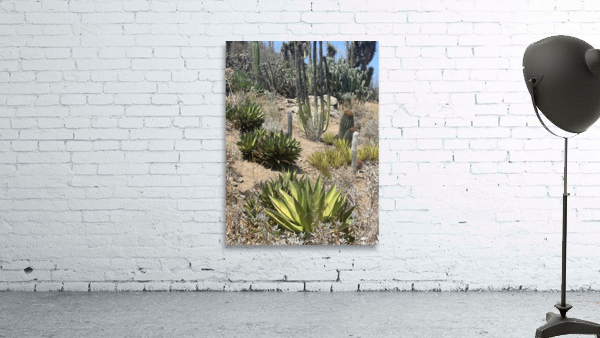 Cali Desert Wall Preview