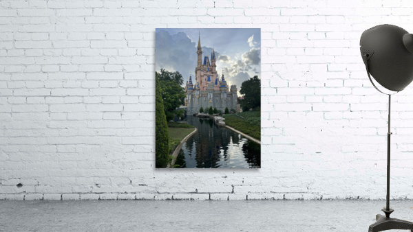 Disney World Wall Preview
