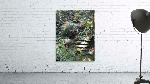 Nature Trails Wall Preview